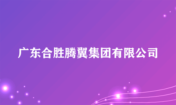 广东合胜腾翼集团有限公司