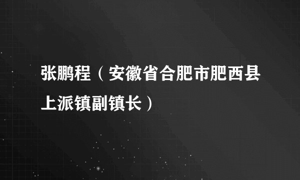 张鹏程（安徽省合肥市肥西县上派镇副镇长）