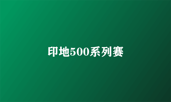 印地500系列赛