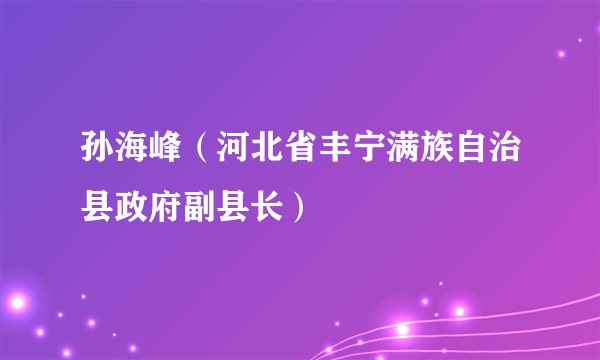 孙海峰（河北省丰宁满族自治县政府副县长）