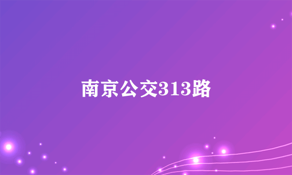 什么是南京公交313路