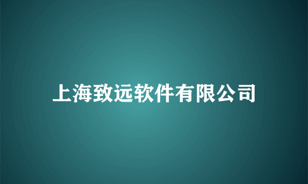 上海致远软件有限公司