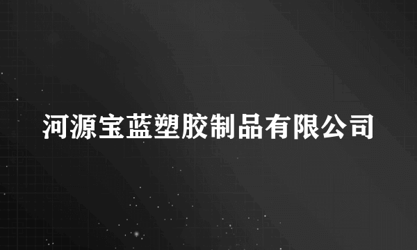 河源宝蓝塑胶制品有限公司