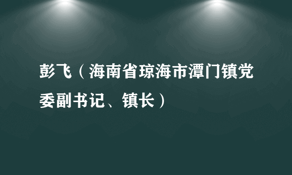 彭飞（海南省琼海市潭门镇党委副书记、镇长）