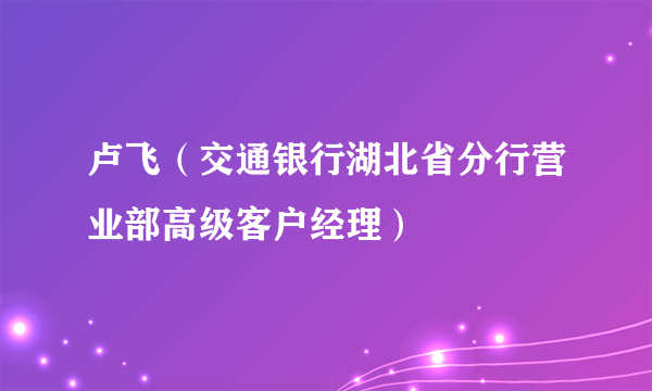 卢飞（交通银行湖北省分行营业部高级客户经理）