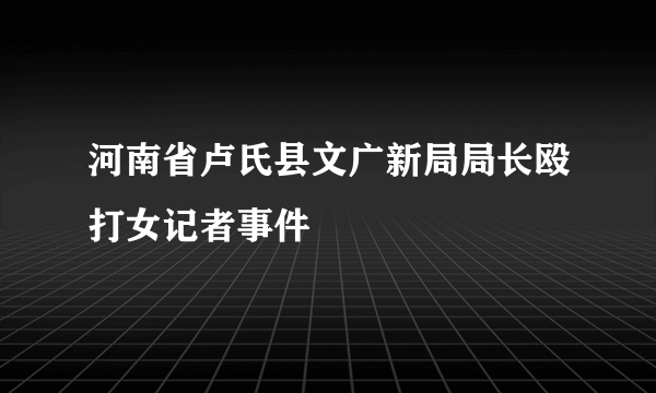 河南省卢氏县文广新局局长殴打女记者事件