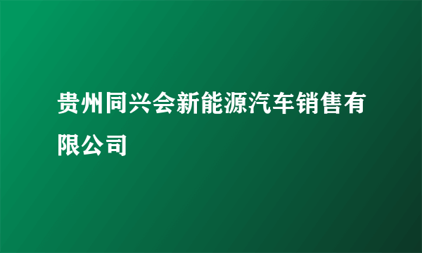 什么是贵州同兴会新能源汽车销售有限公司