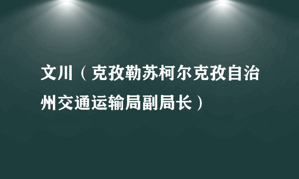 文川（克孜勒苏柯尔克孜自治州交通运输局副局长）