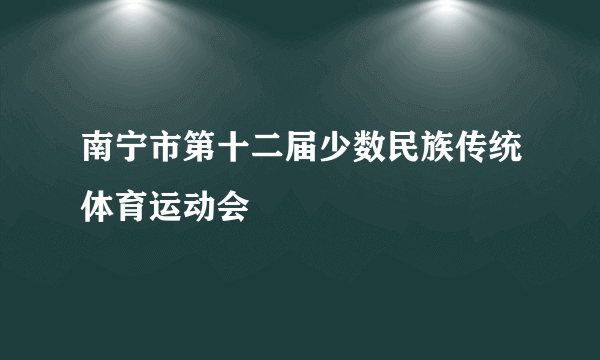 南宁市第十二届少数民族传统体育运动会