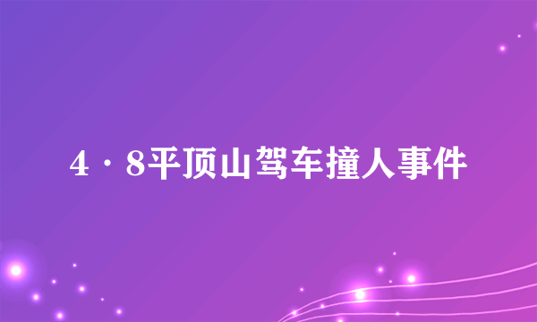 4·8平顶山驾车撞人事件