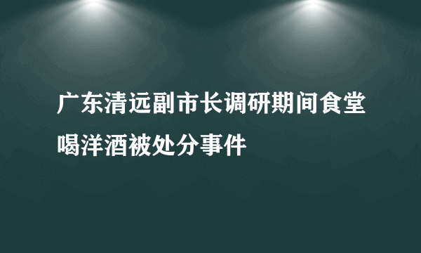 广东清远副市长调研期间食堂喝洋酒被处分事件