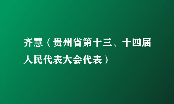 齐慧（贵州省第十三、十四届人民代表大会代表）