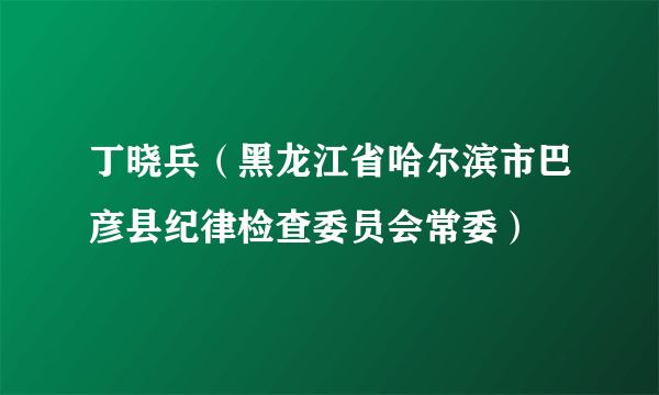 丁晓兵（黑龙江省哈尔滨市巴彦县纪律检查委员会常委）