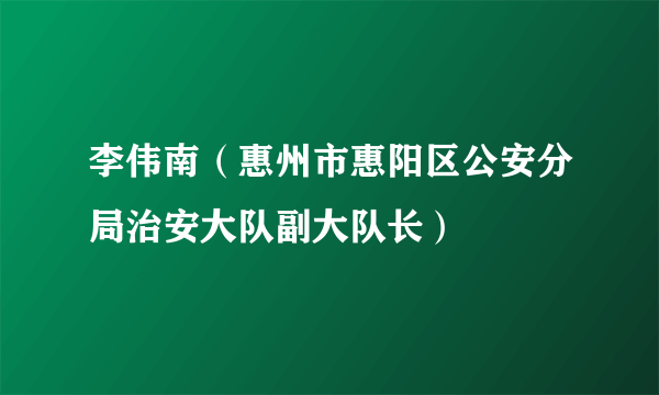 李伟南（惠州市惠阳区公安分局治安大队副大队长）