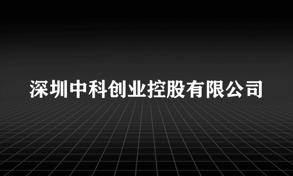 深圳中科创业控股有限公司