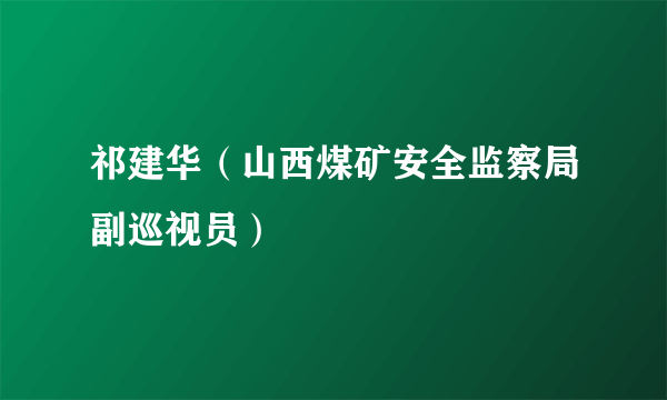 什么是祁建华（山西煤矿安全监察局副巡视员）