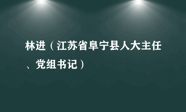 什么是林进（江苏省阜宁县人大主任、党组书记）