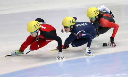 什么是2015年短道速滑世锦赛