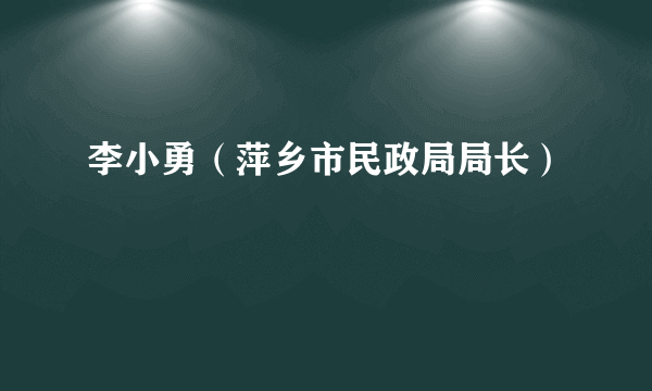 什么是李小勇（萍乡市民政局局长）