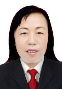 什么是马丽媛（云南红河州泸西县白水镇人大主席）