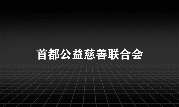 首都公益慈善联合会