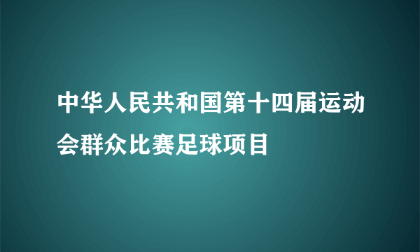 什么是中华人民共和国第十四届运动会群众比赛足球项目