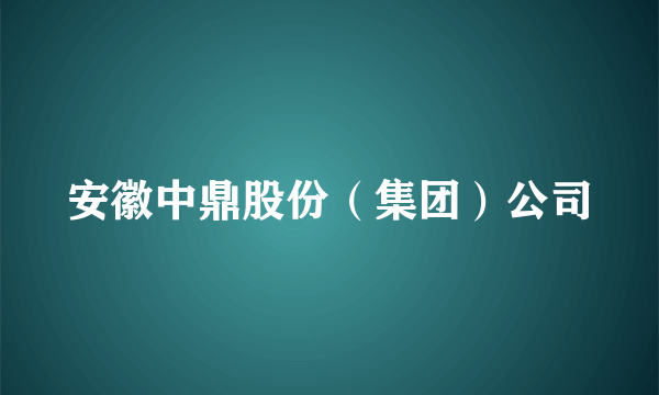 安徽中鼎股份（集团）公司