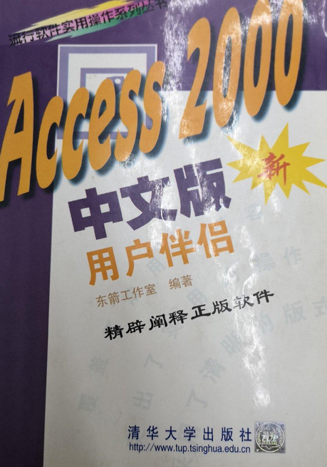 ACCESS2000中文版用户伴侣（新）/流行软件实用操作系列丛书