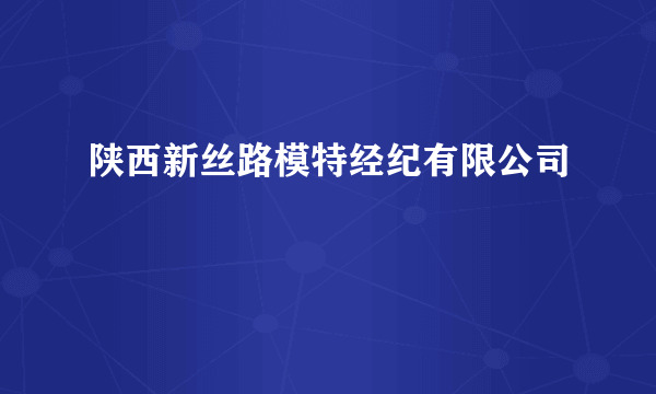 陕西新丝路模特经纪有限公司