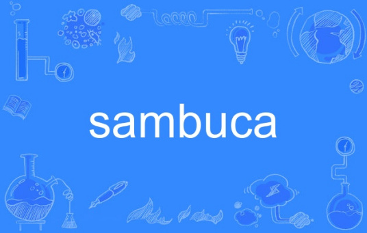 什么是sambuca