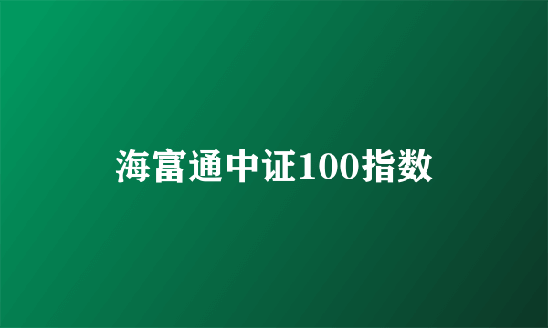 海富通中证100指数