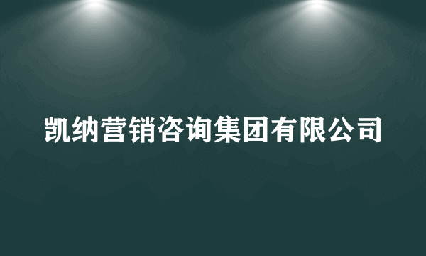 凯纳营销咨询集团有限公司