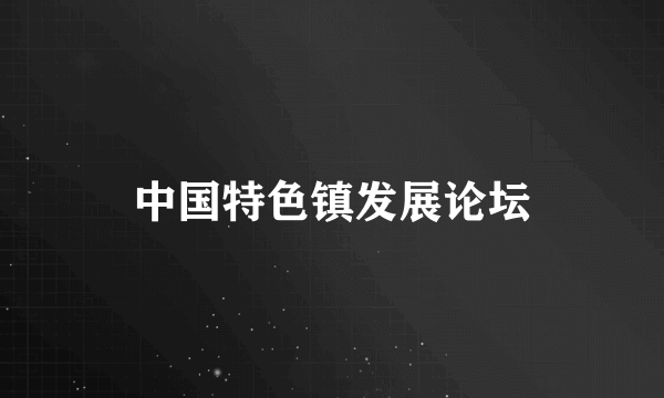 中国特色镇发展论坛