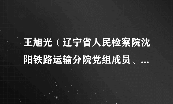 王旭光（辽宁省人民检察院沈阳铁路运输分院党组成员、纪检组长）