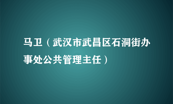 马卫（武汉市武昌区石洞街办事处公共管理主任）