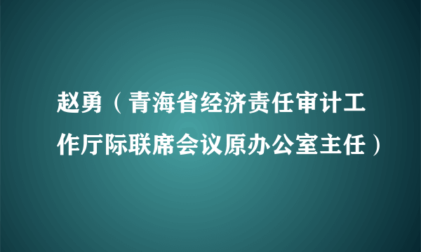 赵勇（青海省经济责任审计工作厅际联席会议原办公室主任）