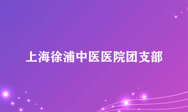 上海徐浦中医医院团支部