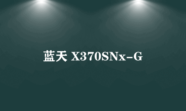 蓝天 X370SNx-G