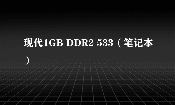 现代1GB DDR2 533（笔记本）