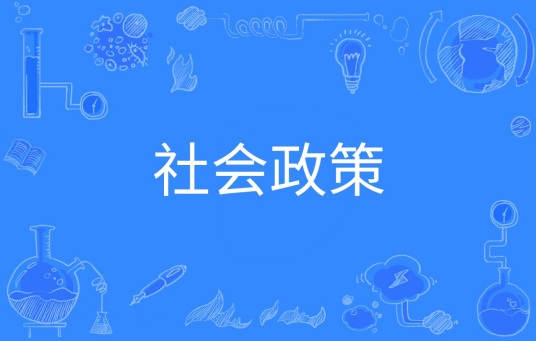 什么是社会政策（中国普通高等学校本科专业）