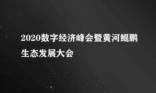 2020数字经济峰会暨黄河鲲鹏生态发展大会