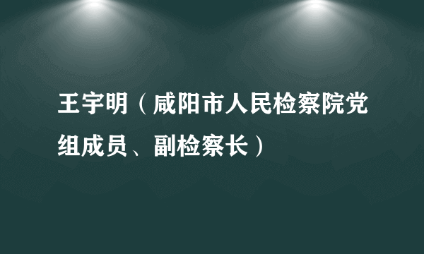 王宇明（咸阳市人民检察院党组成员、副检察长）