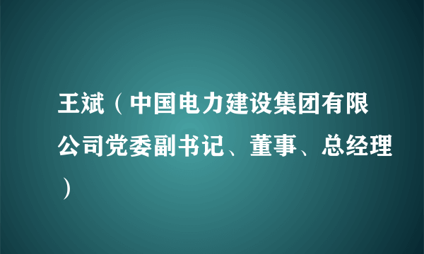 王斌（中国电力建设集团有限公司党委副书记、董事、总经理）