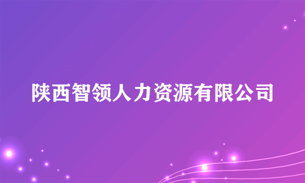 陕西智领人力资源有限公司