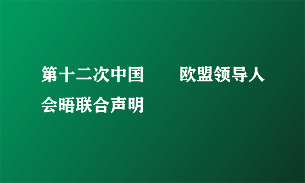 第十二次中国――欧盟领导人会晤联合声明