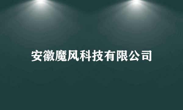 安徽魔风科技有限公司