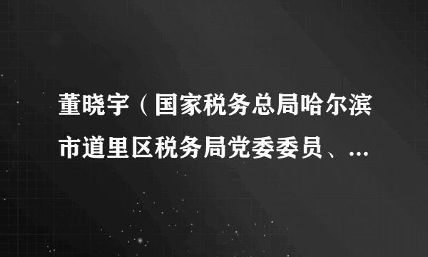 董晓宇（国家税务总局哈尔滨市道里区税务局党委委员、纪检组组长）