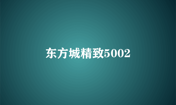 什么是东方城精致5002