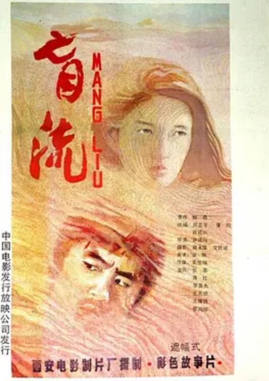 什么是盲流（1987年许还山执导电影）