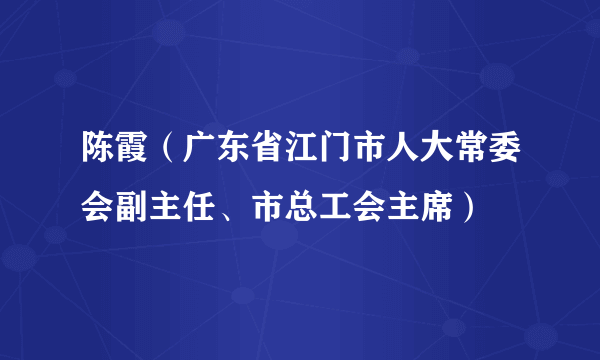 陈霞（广东省江门市人大常委会副主任、市总工会主席）